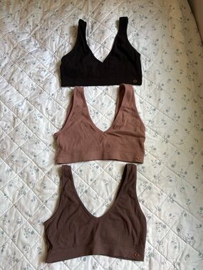 Danskin Ribbed Bralette Set - Black, Mauve, Chocolate